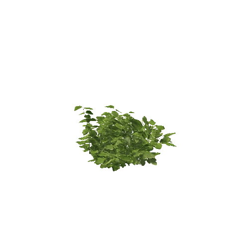 Plant 40_LOD_1